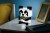 caa450f8c0e6f159a38a8c1aa9782ee8.jpg